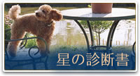 星の診断書
